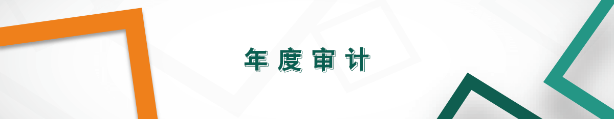 年度審計(jì)